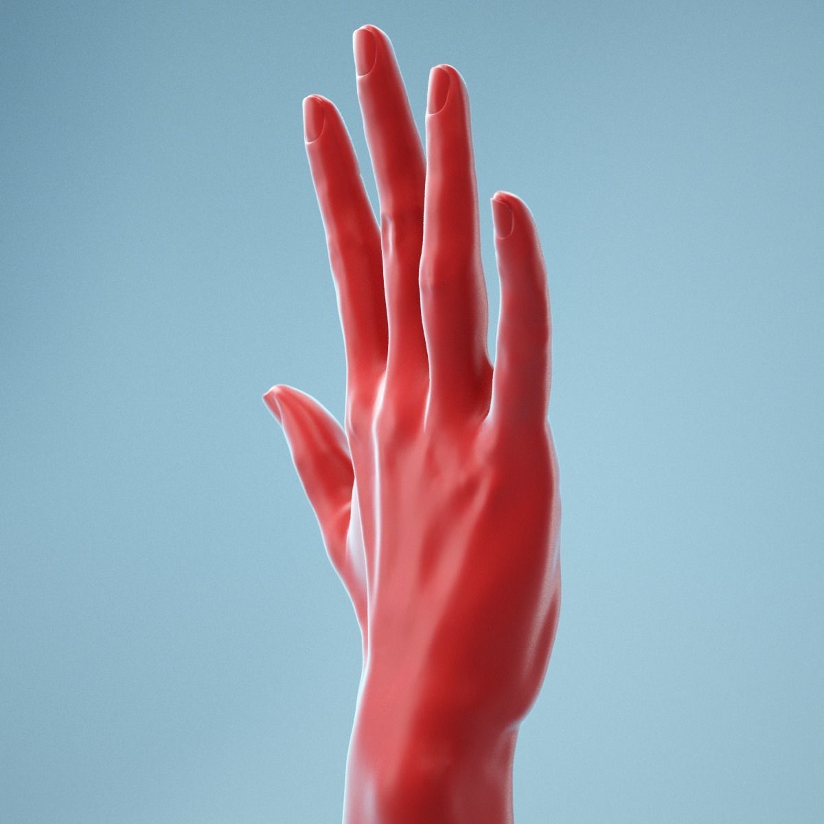Standard Pose Realistic Hand Model 02 3D model_10