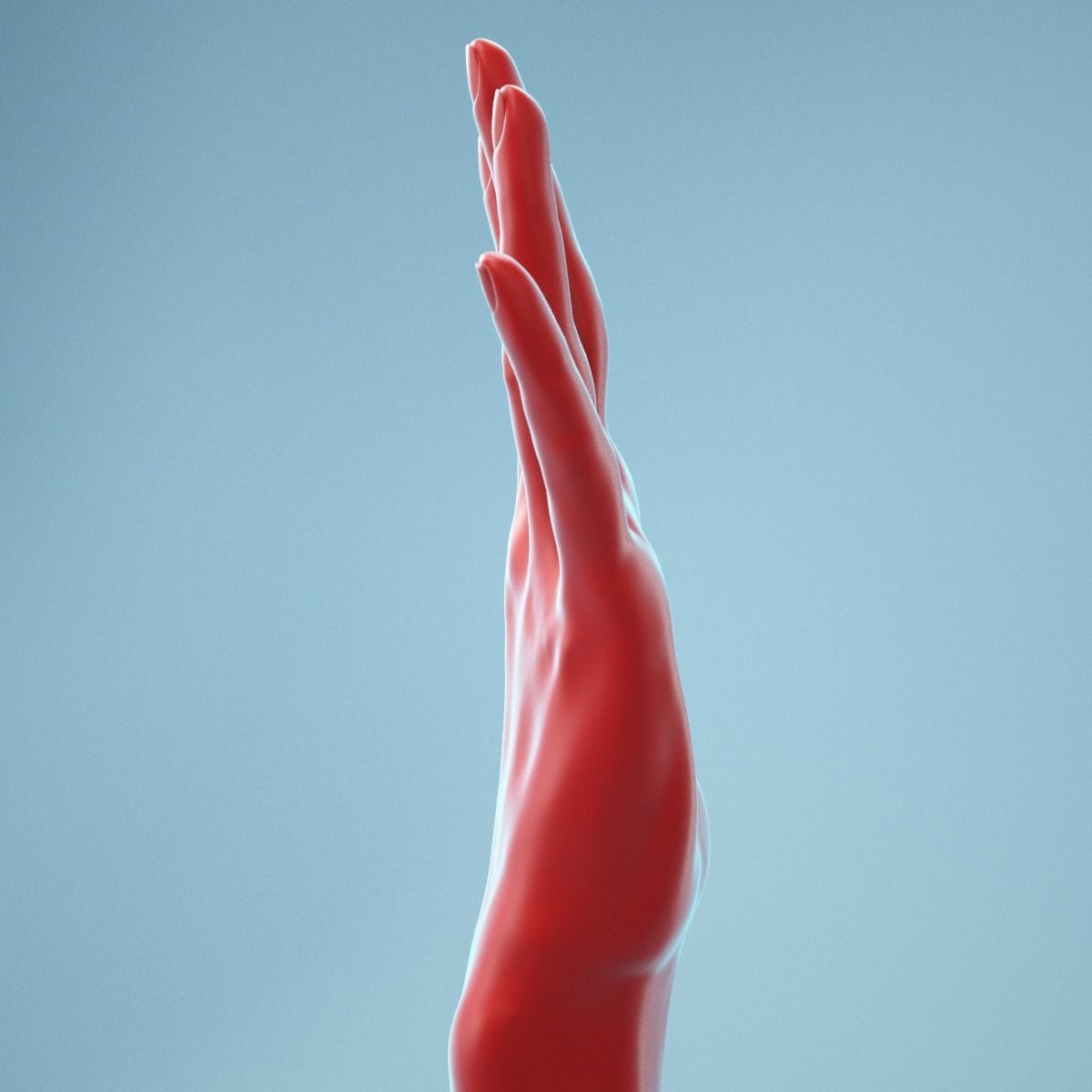 Standard Pose Realistic Hand Model 02 3D model_9