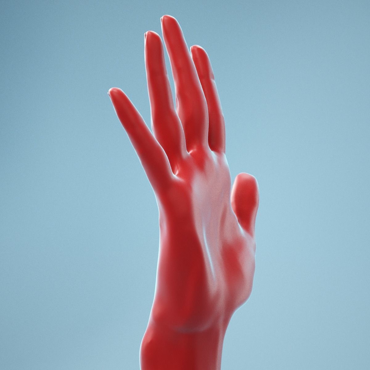 Standard Pose Realistic Hand Model 02 3D model_8