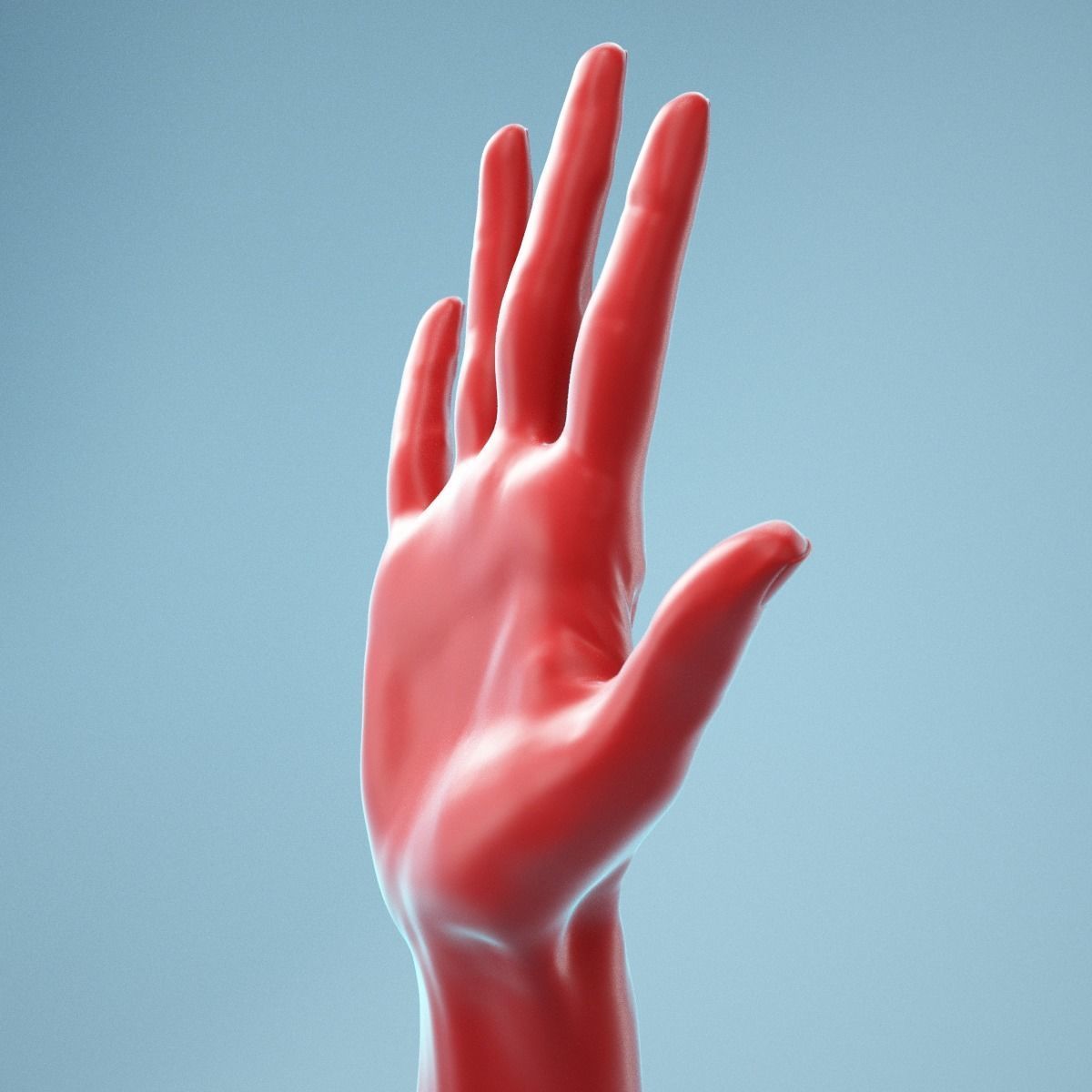 Standard Pose Realistic Hand Model 02 3D model_4