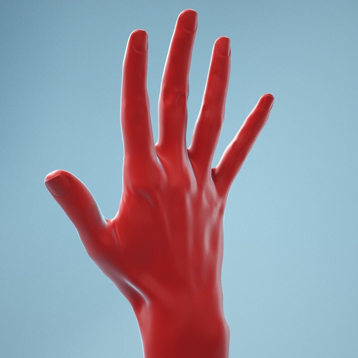 Standard Pose Realistic Hand Model 02 3D model_1