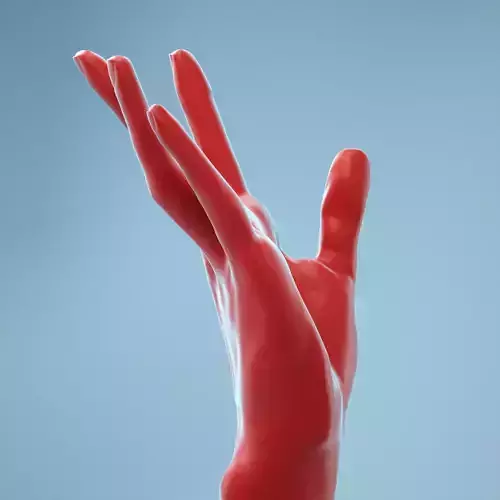 Stretched Backwards Realistic Hand Model 04