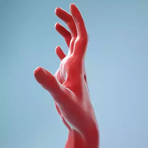Stretched Claw Realistic Hand Model 08 3D model