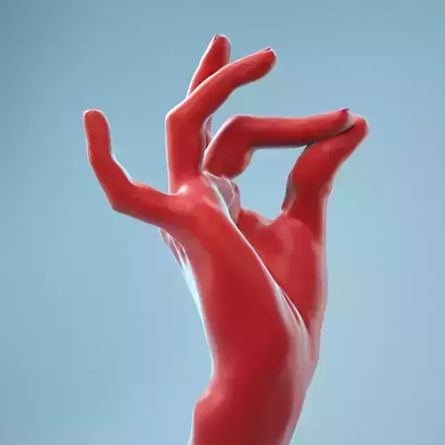 Pinch Gesture Realistic Hand Model 09 3D model
