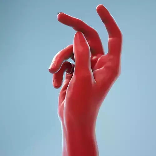 Relaxed Grip Realistic Hand Model 10 3D model