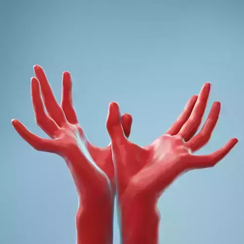 Hands Thumb Touching Realistic Hands Model 14 3D model