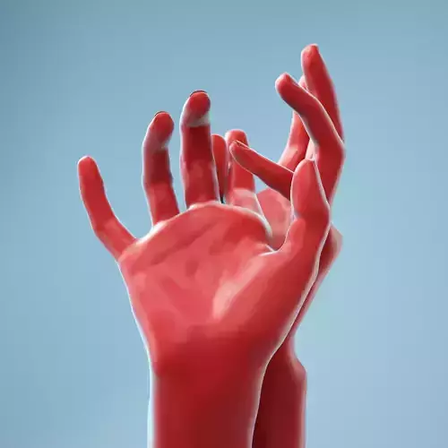Gentle Pose Realistic Hand Model 15 3D model