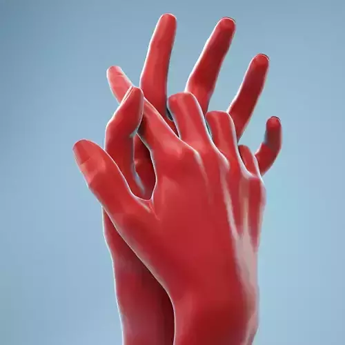 Interwoven Realistic Hand Model 18 3D model