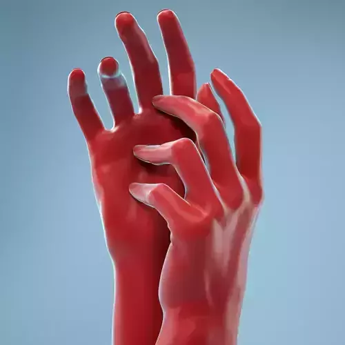 Gently Touching Realistic Hands Model 19 3D model
