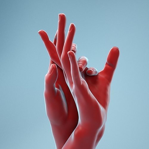 Washing Realistic Hands Model 23 3D model