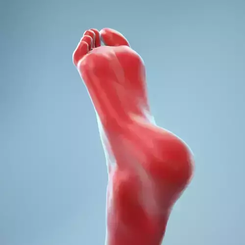 Neutral Pose Realistic Foot Model 01 3D model