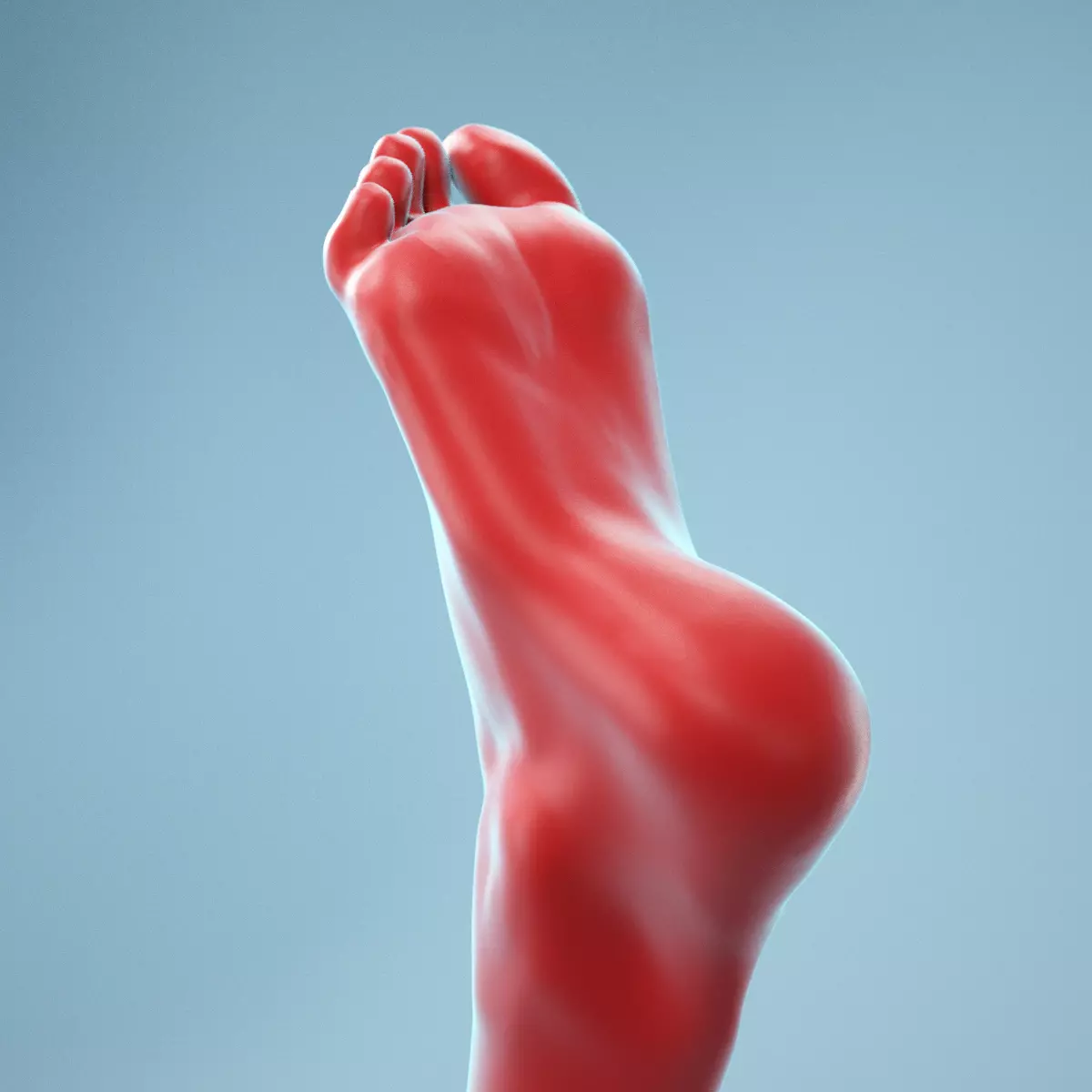 Neutral Pose Realistic Foot Model 01 3D model