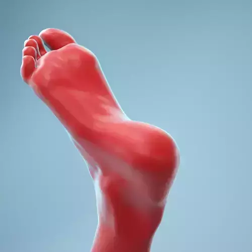 Twisted Pose Realistic Foot Model 02 3D model