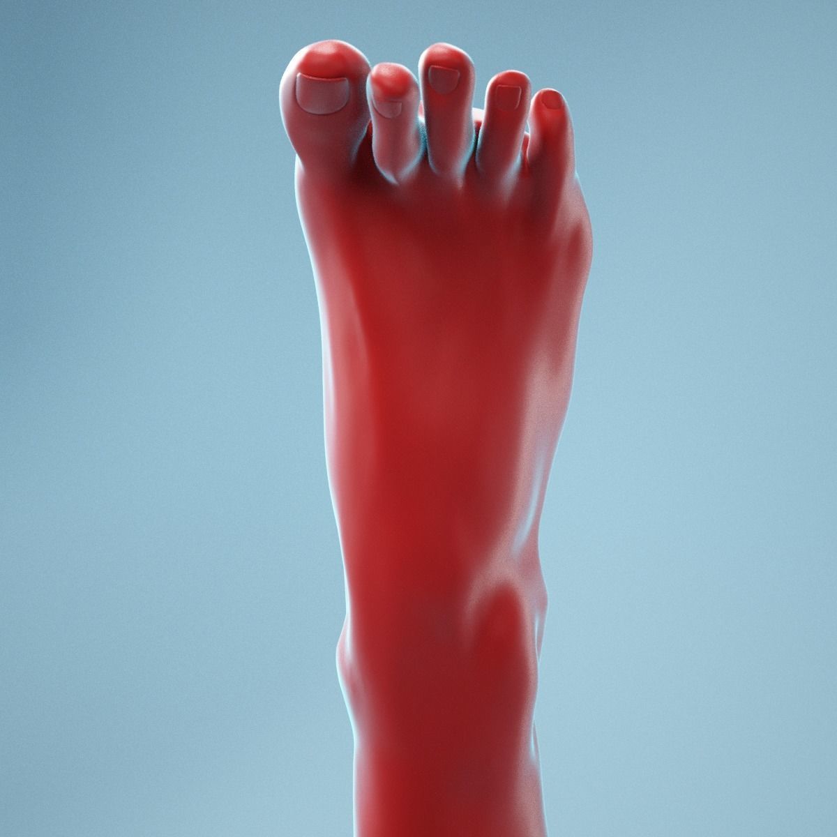 Tip Toes Heeled Realistic Foot Model 03 3D model_4