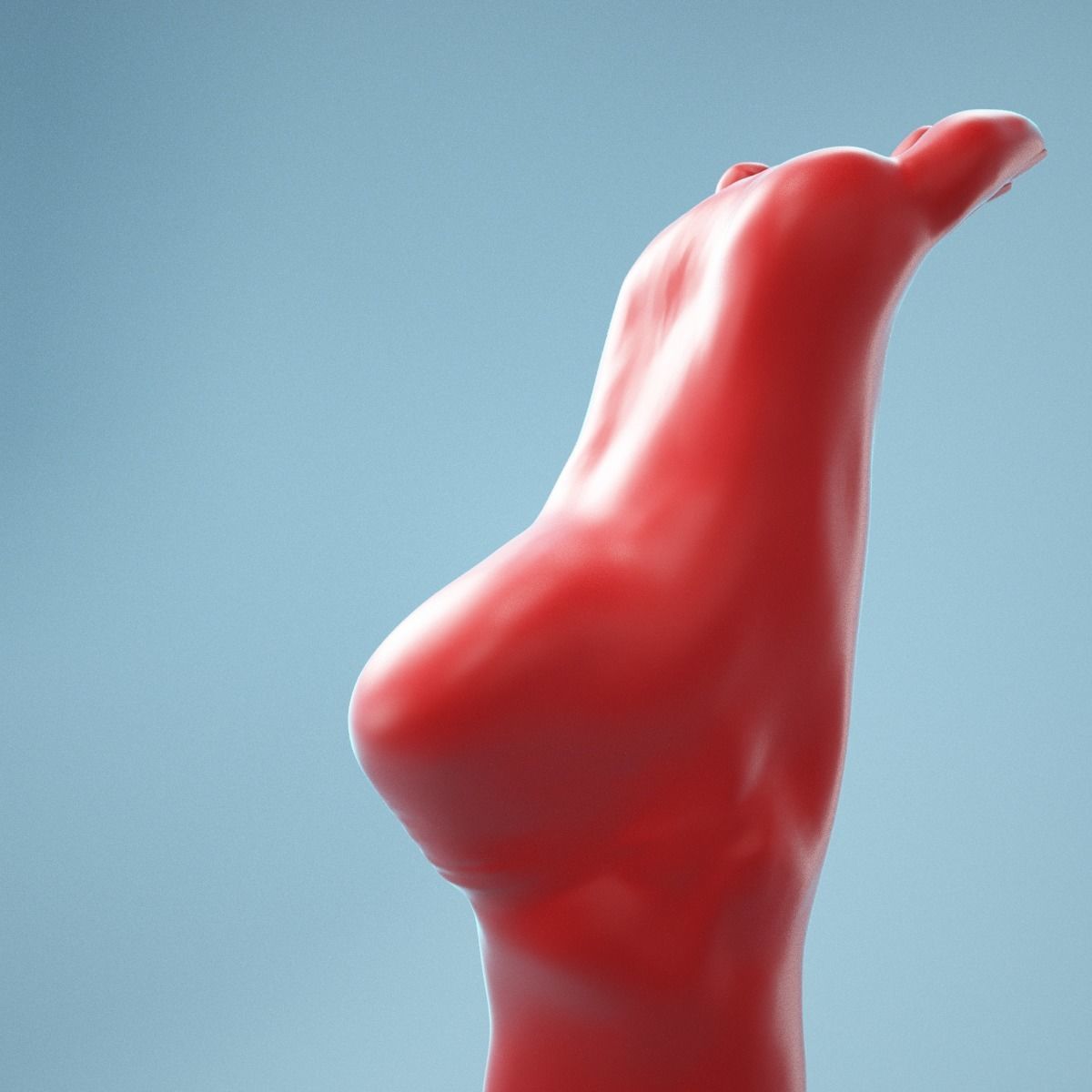 Tip Toes Heeled Realistic Foot Model 03 3D model_8