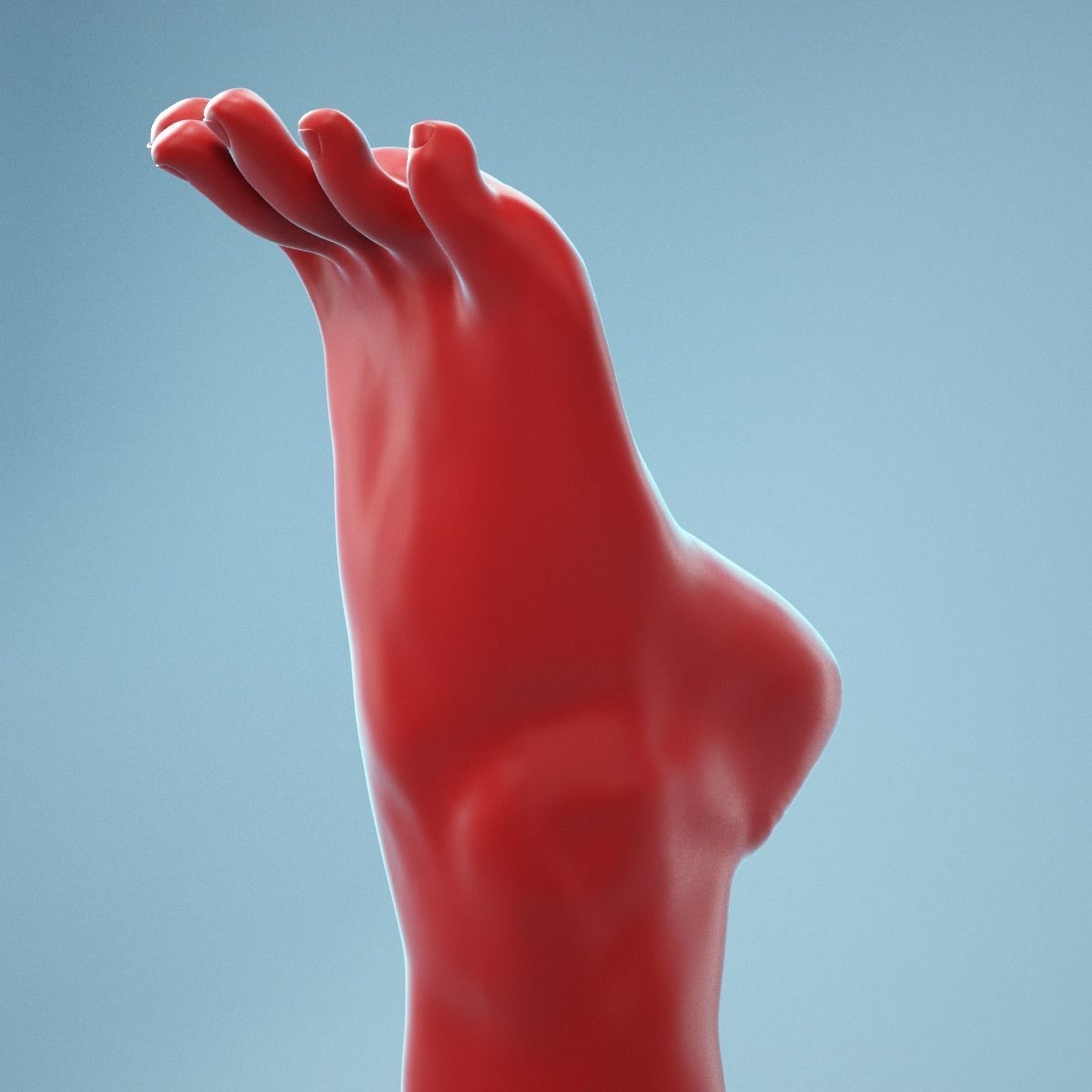 Tip Toes Heeled Realistic Foot Model 03 3D model_2