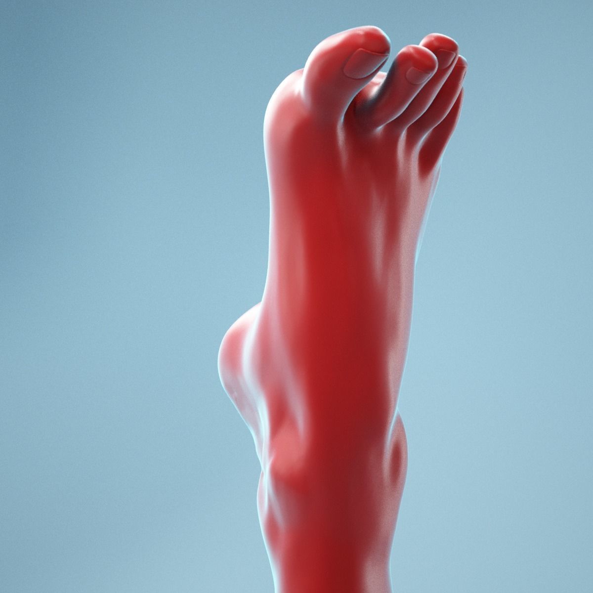 Tip Toes Heeled Realistic Foot Model 03 3D model_5