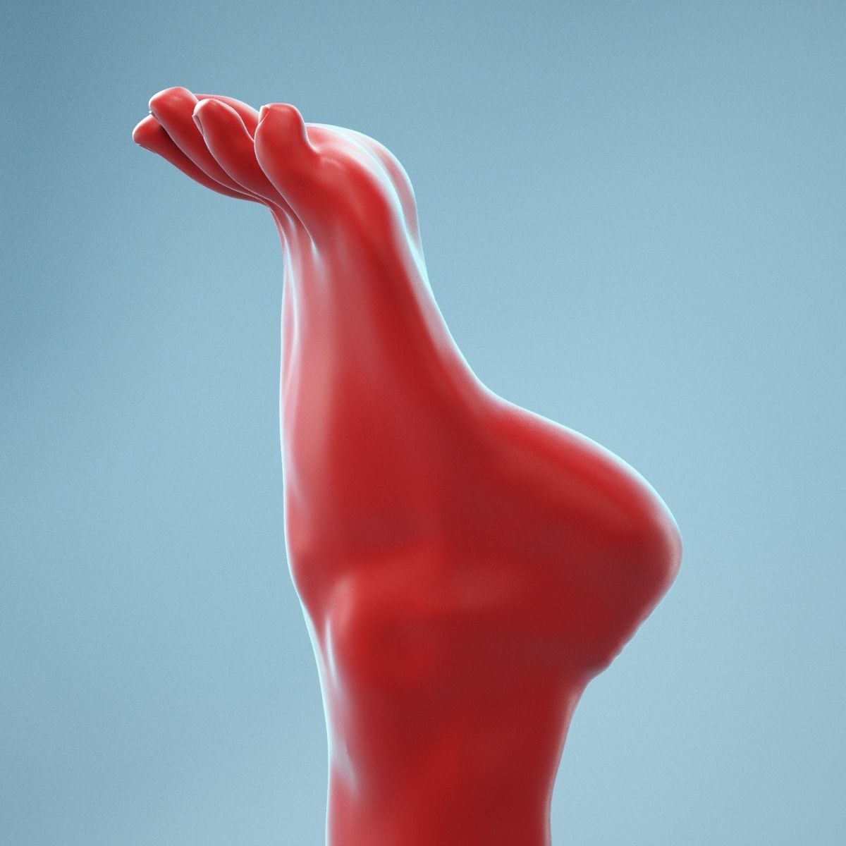 Tip Toes Heeled Realistic Foot Model 03 3D model_1