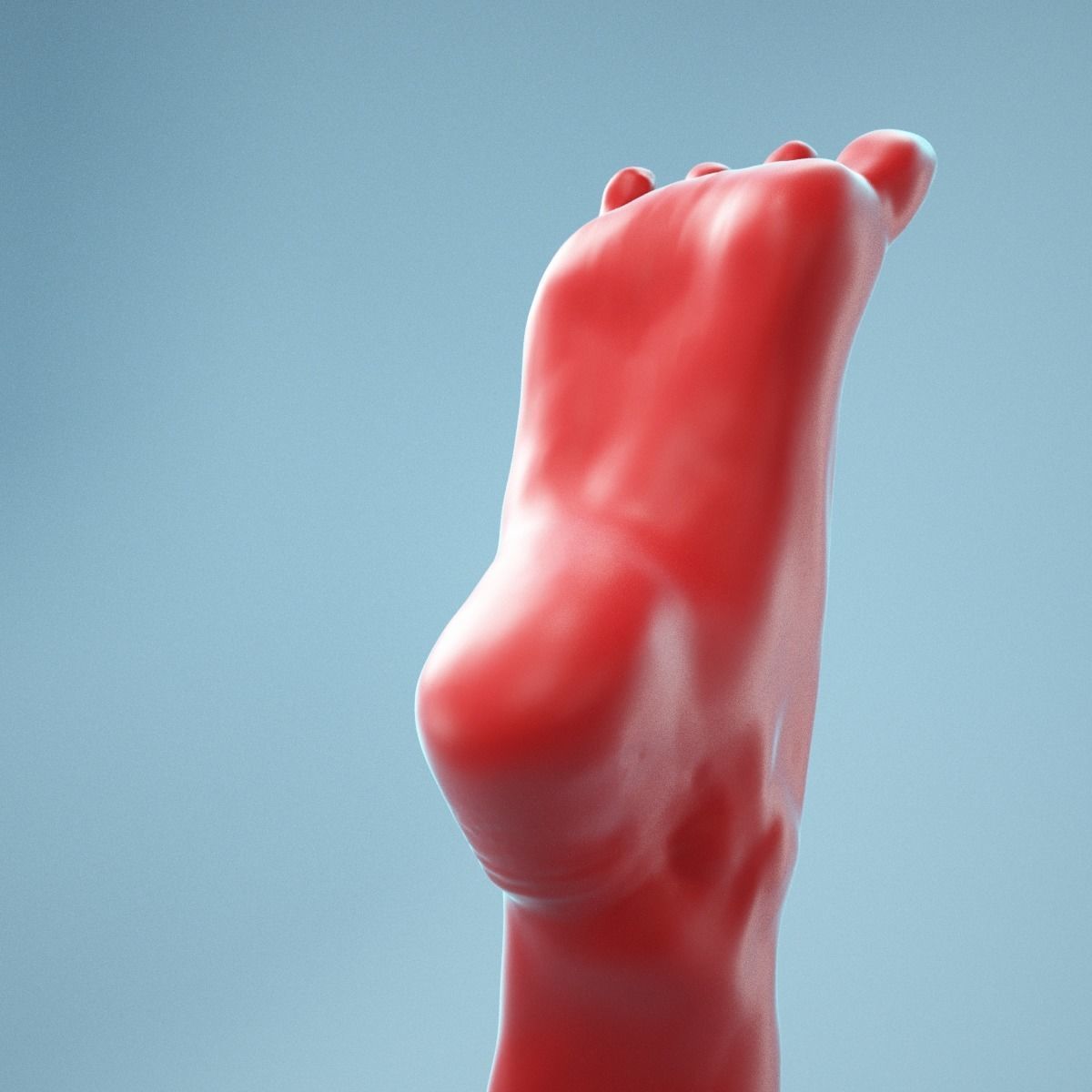 Tip Toes Heeled Realistic Foot Model 03 3D model_9