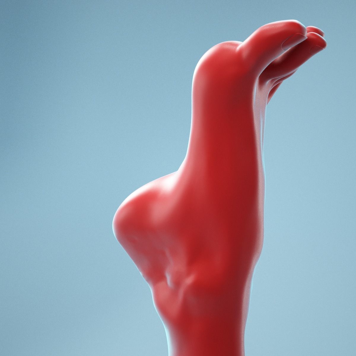 Tip Toes Heeled Realistic Foot Model 03 3D model_6