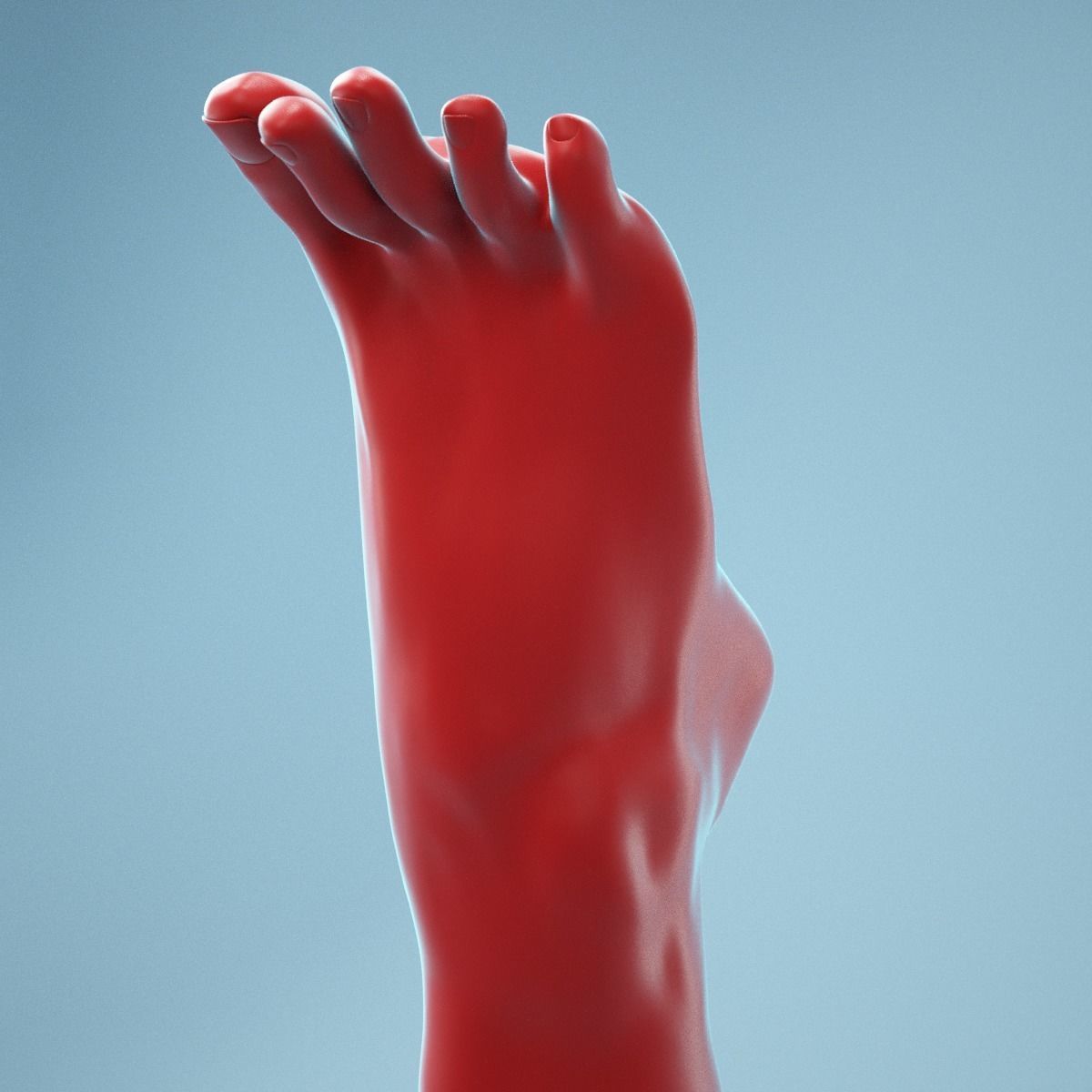 Tip Toes Heeled Realistic Foot Model 03 3D model_3