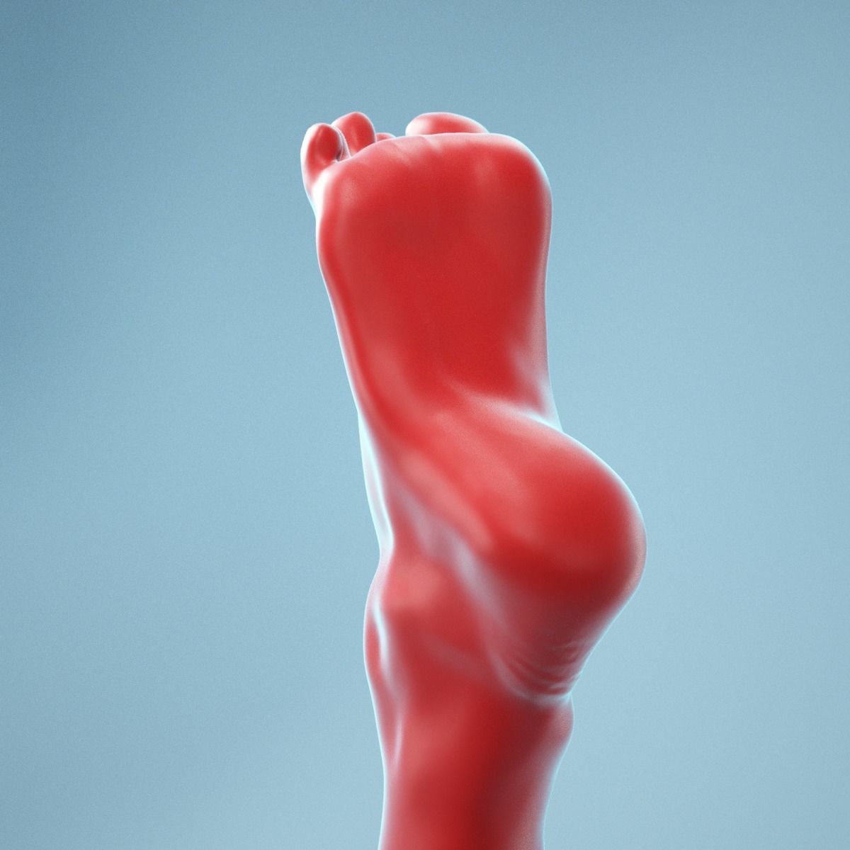 Tip Toes Heeled Realistic Foot Model 03 3D model_11