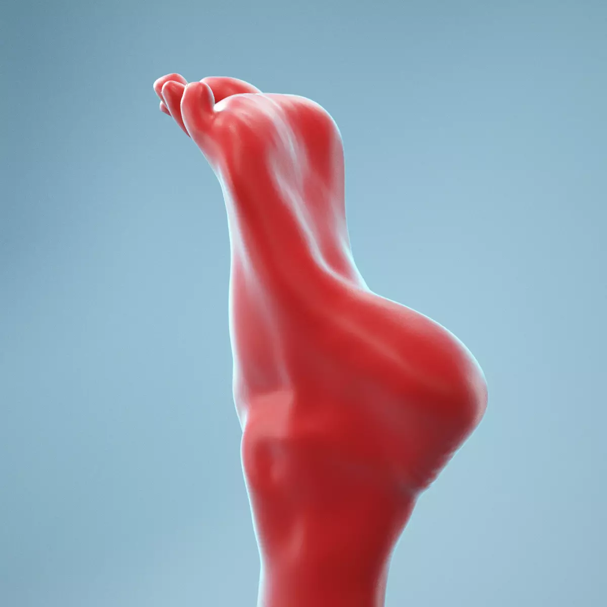 Tip Toes Heeled Realistic Foot Model 03 3D model_0