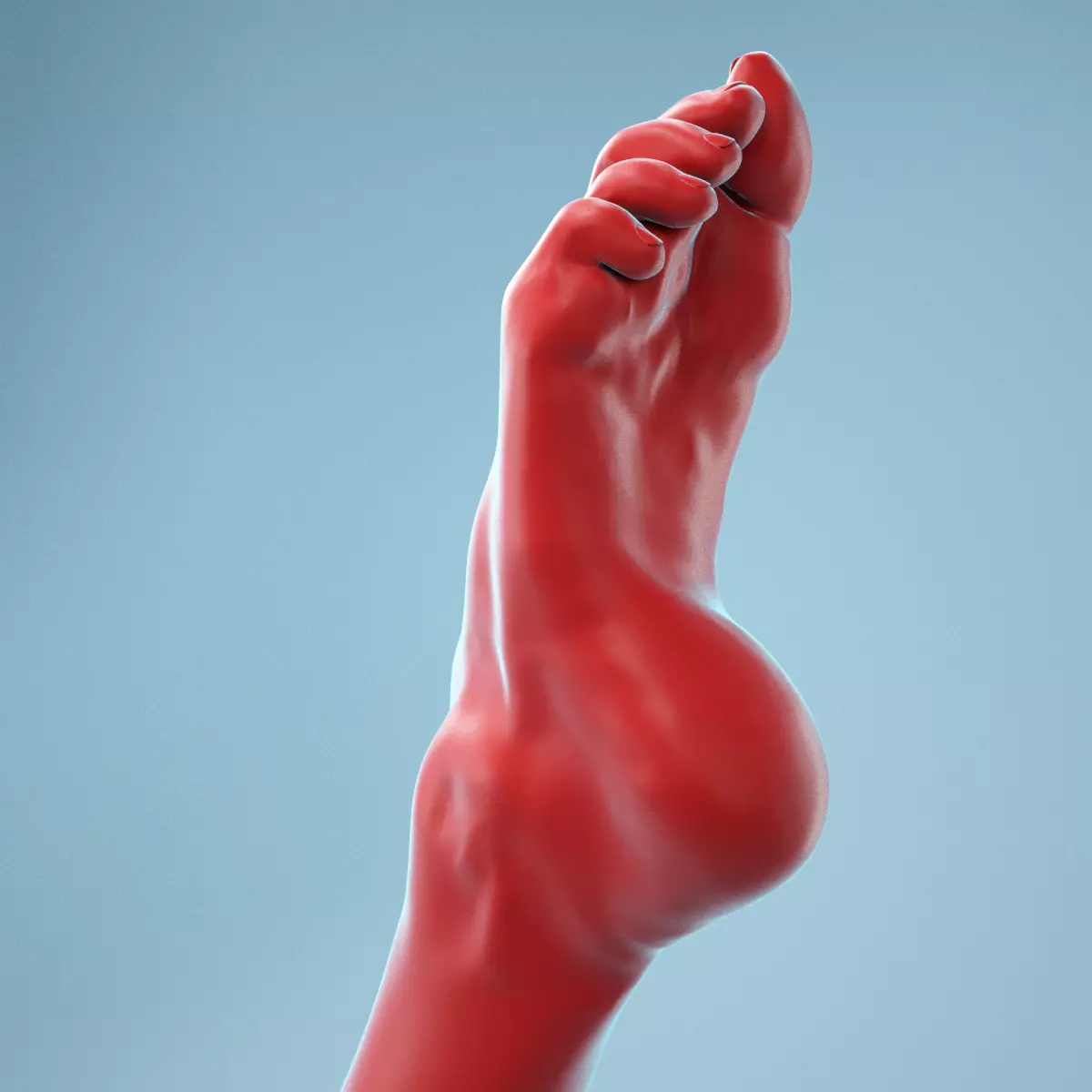 Crunched Toes Realistic Foot Model  04 3D model_0