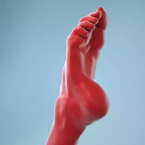 Crunched Toes Realistic Foot Model  04 3D model