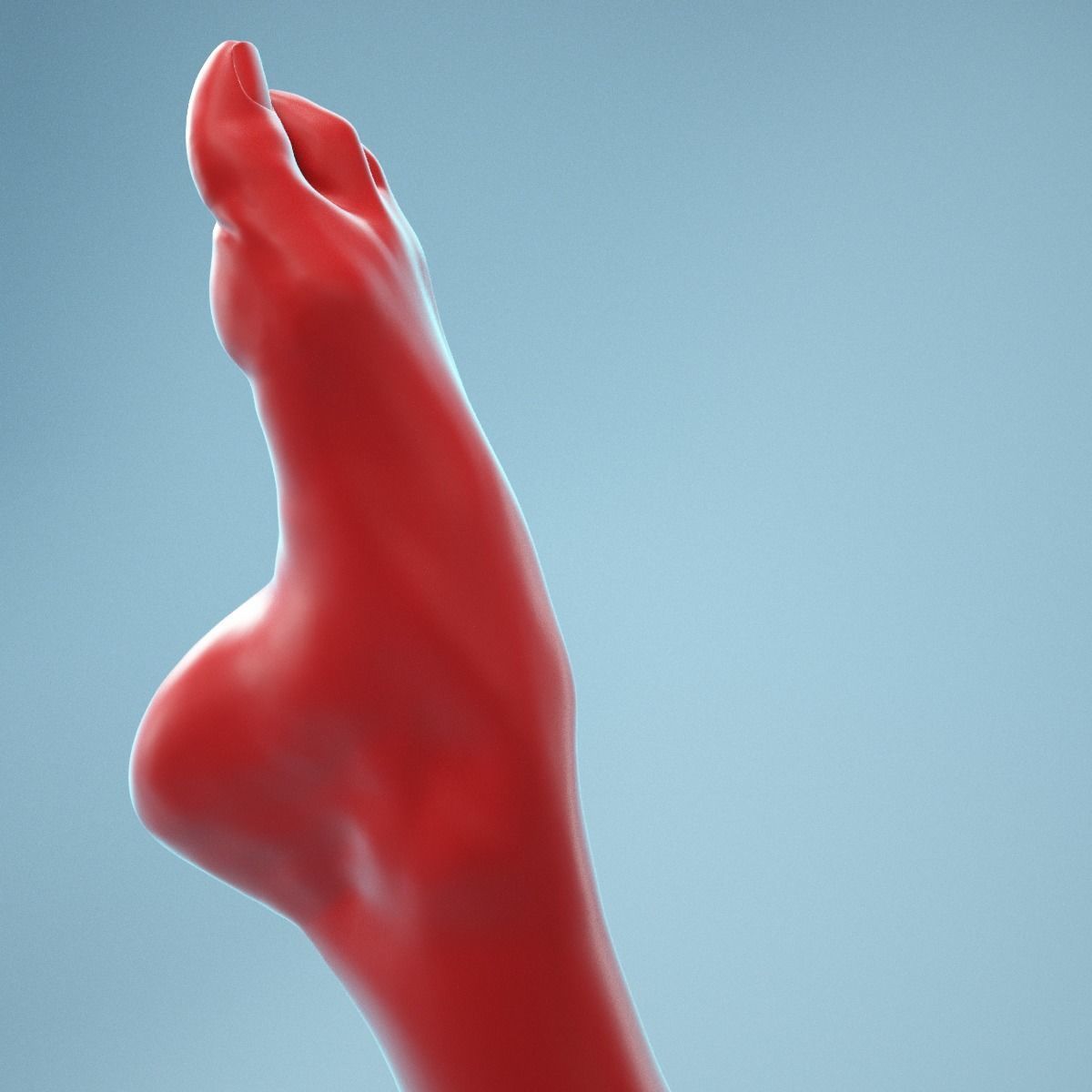 Crunched Toes Realistic Foot Model  04 3D model_7