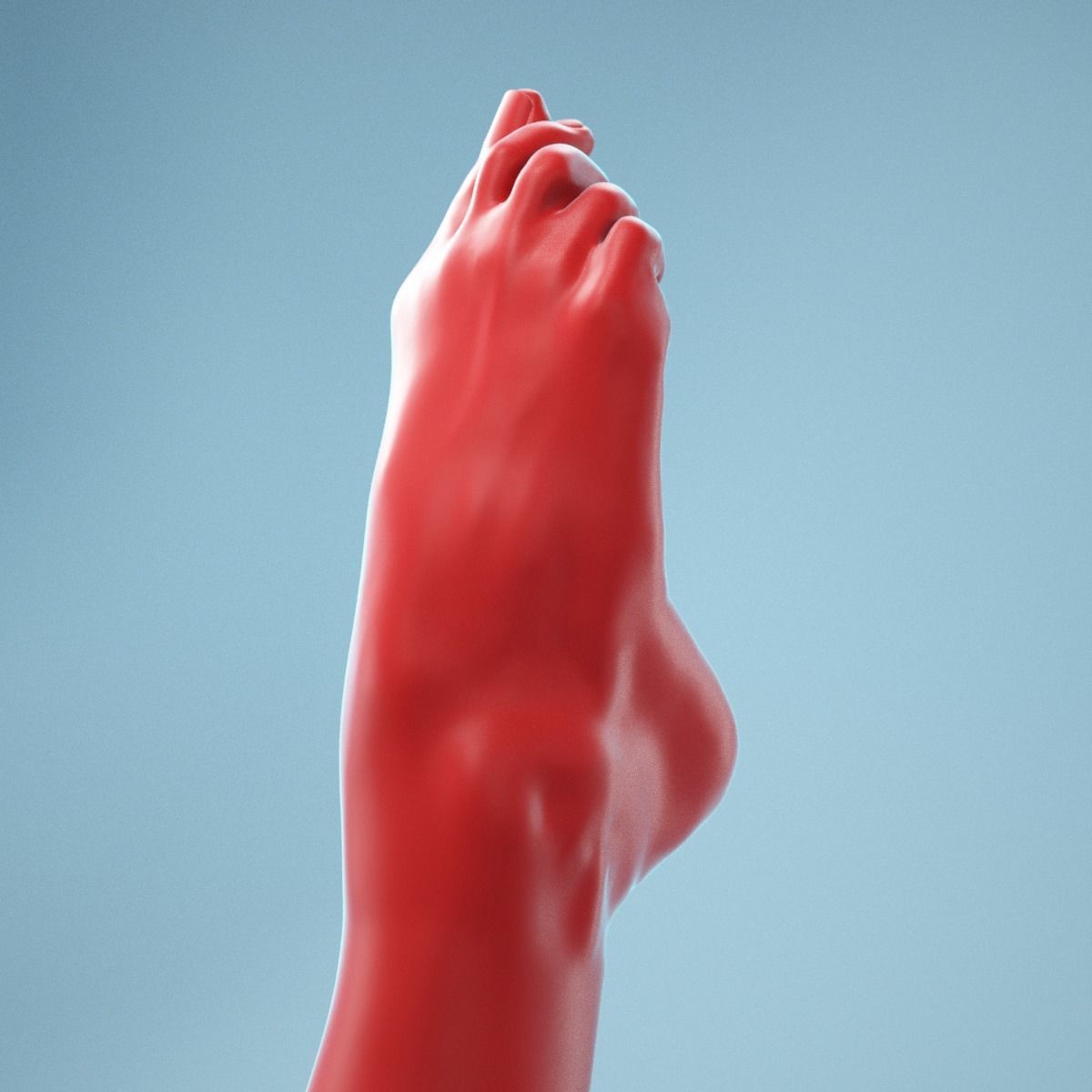 Crunched Toes Realistic Foot Model  04 3D model_3