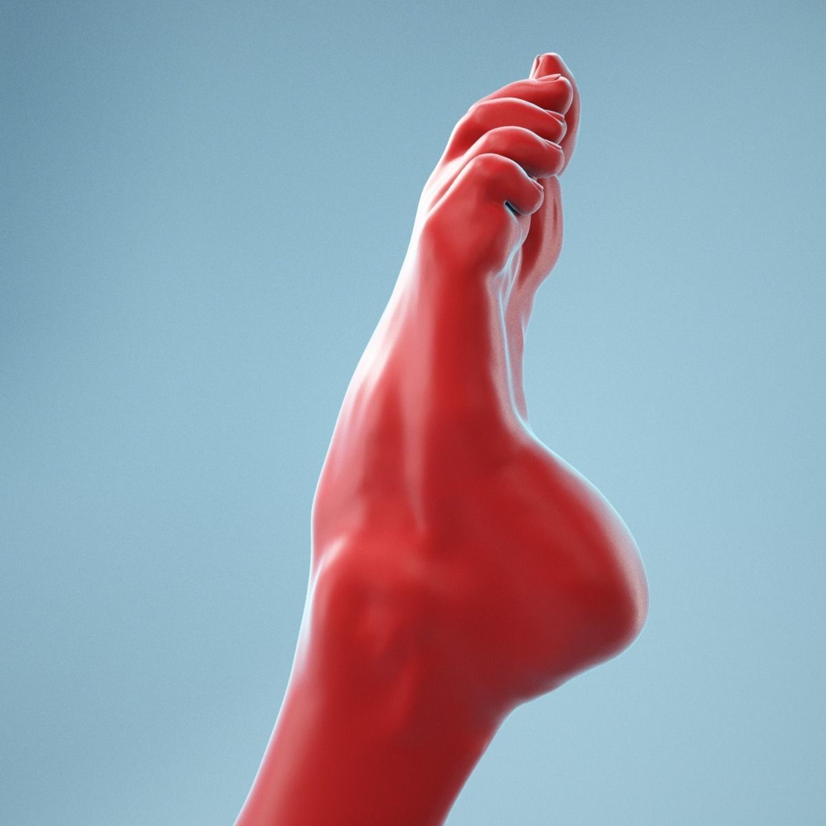 Crunched Toes Realistic Foot Model  04 3D model_1