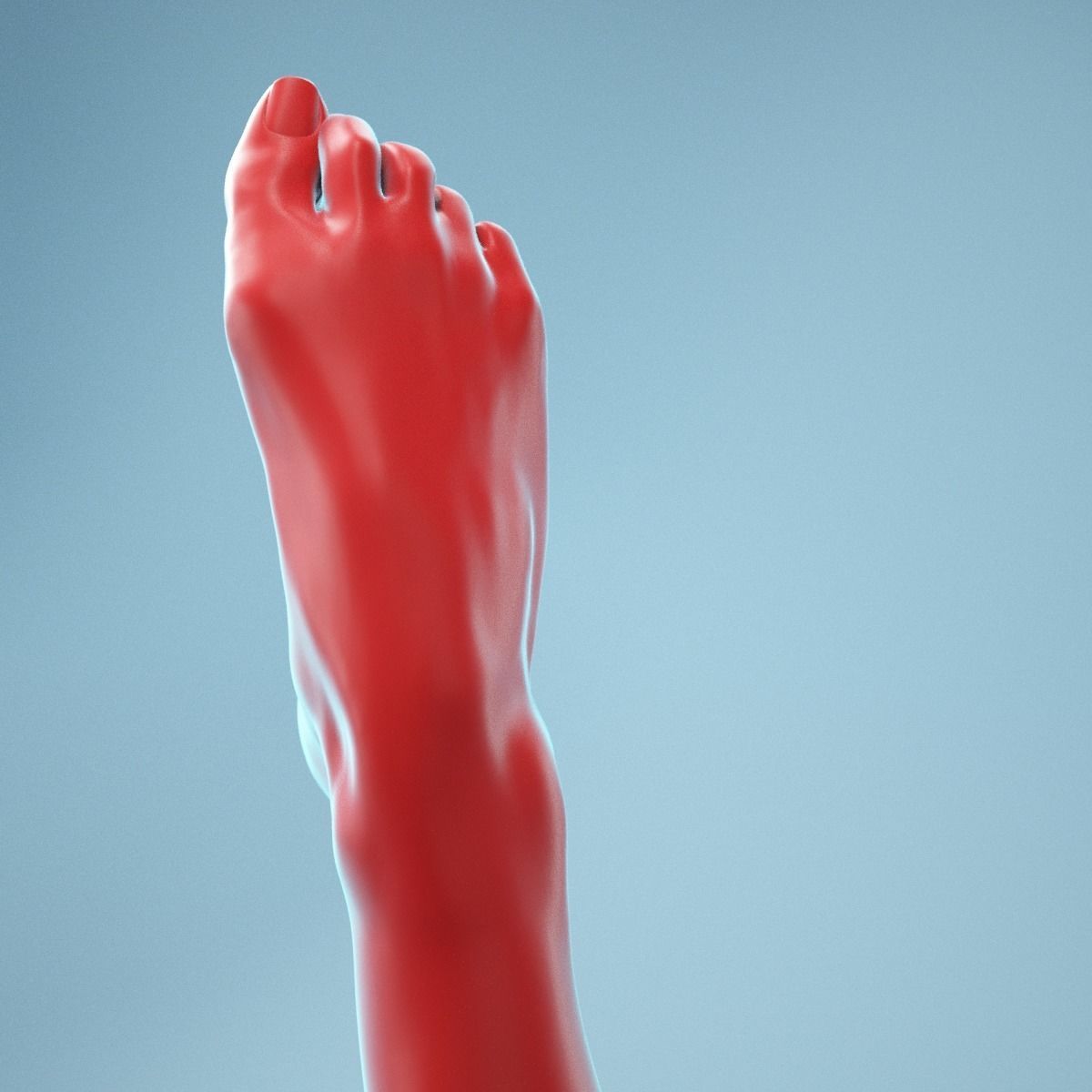 Crunched Toes Realistic Foot Model  04 3D model_5