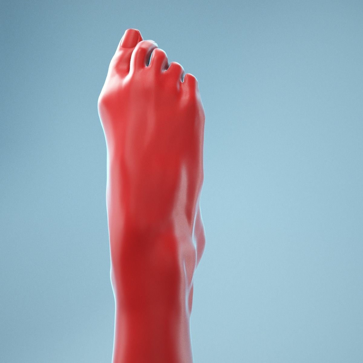 Crunched Toes Realistic Foot Model  04 3D model_4