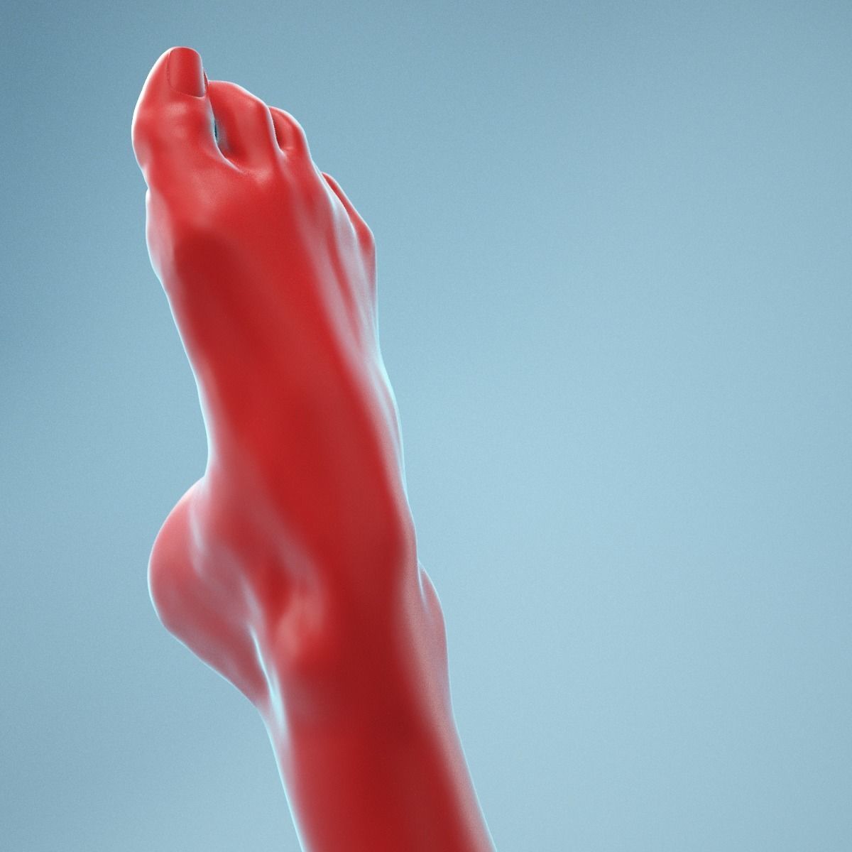 Crunched Toes Realistic Foot Model  04 3D model_6