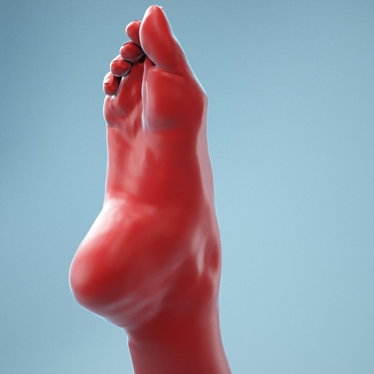 Crunched Toes Realistic Foot Model  04 3D model_9