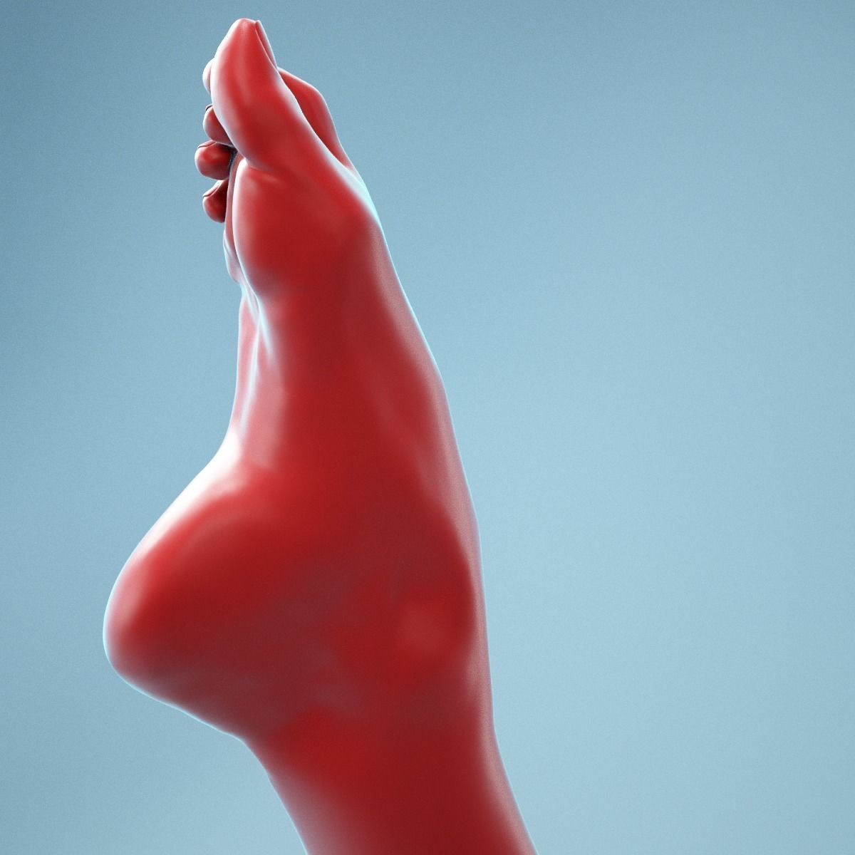 Crunched Toes Realistic Foot Model  04 3D model_8