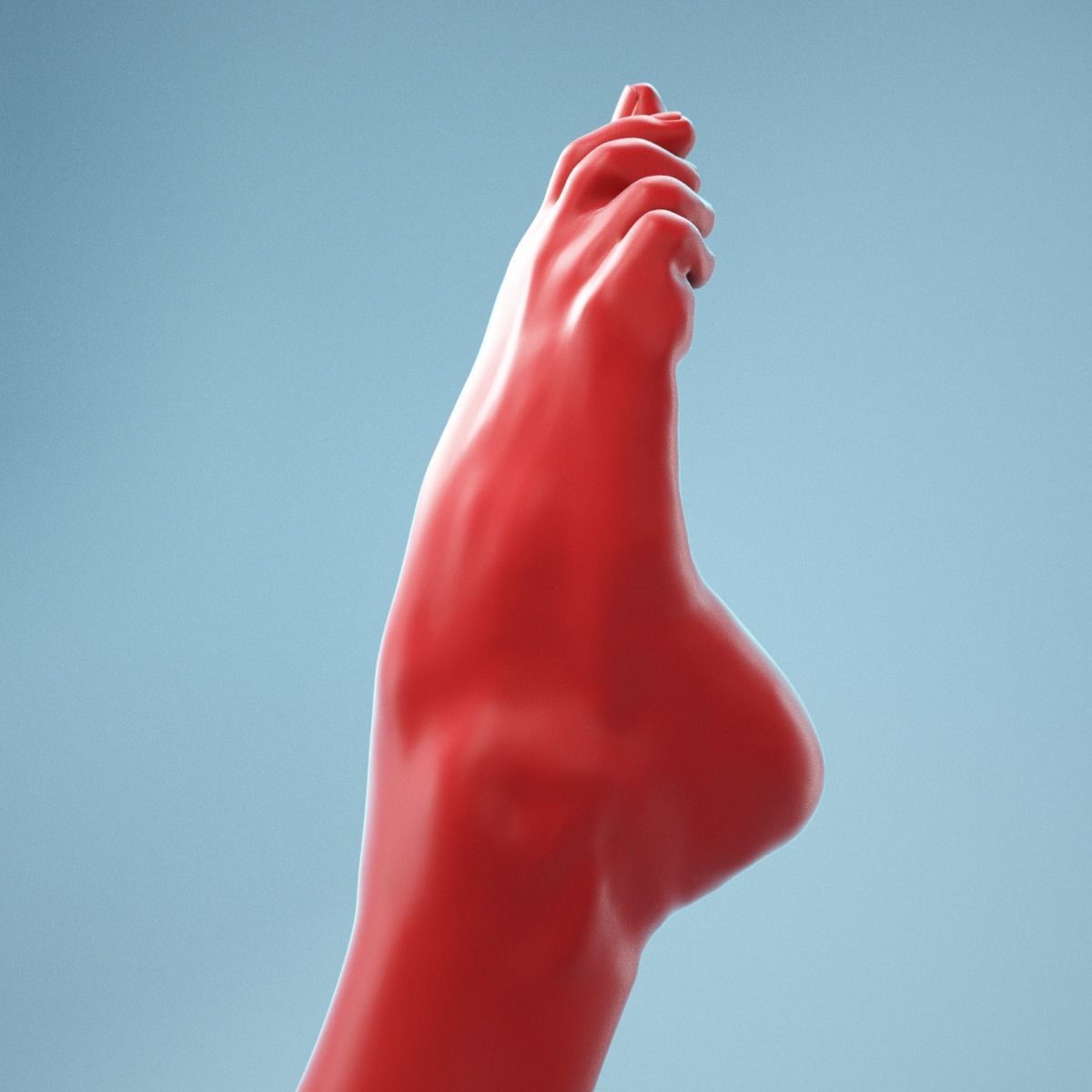 Crunched Toes Realistic Foot Model  04 3D model_2