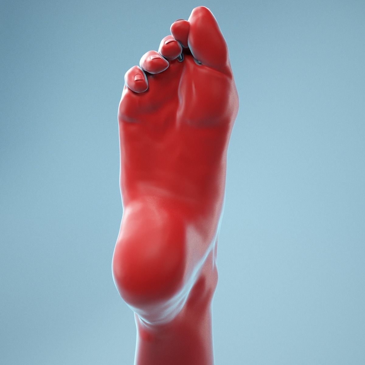 Crunched Toes Realistic Foot Model  04 3D model_10