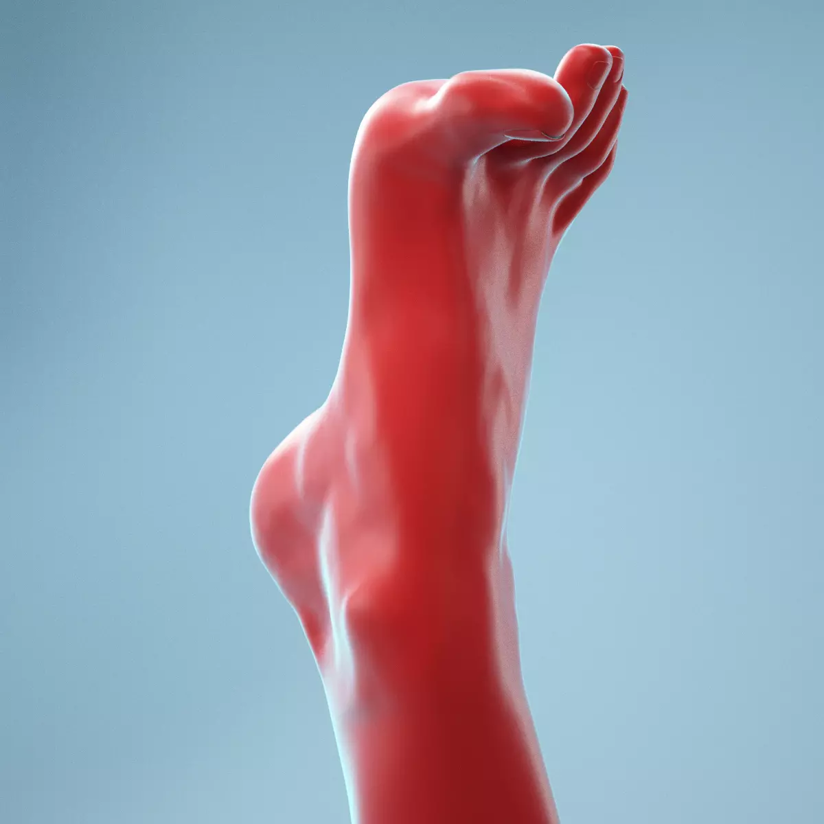 Open Toes Realistic Foot Model 05 3D model