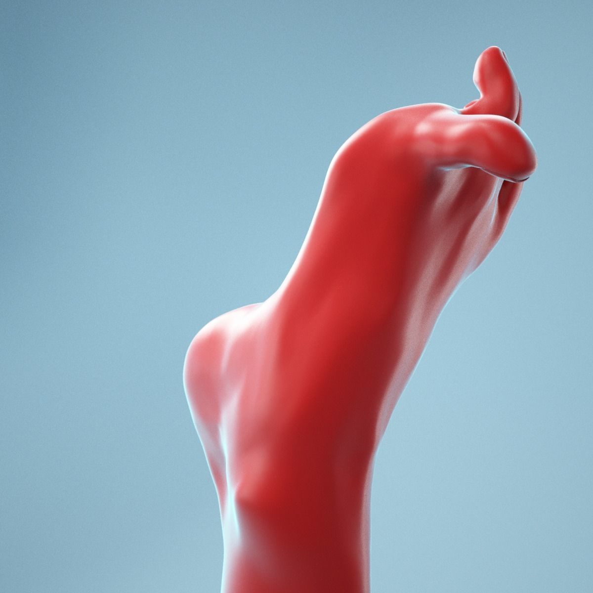 Big Toe Pointing Realistic Foot Model 07 3D model_4