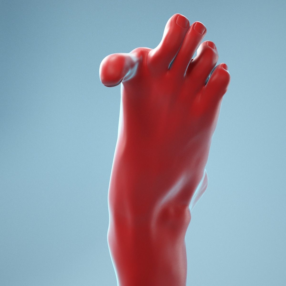 Big Toe Pointing Realistic Foot Model 07 3D model_2