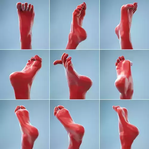 7 Realistic Photoscanned Feet 3D Model Collection