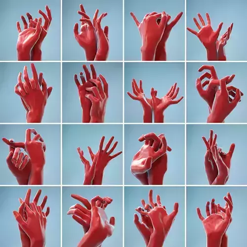 11 Interacting Realistic Hands 3D Model Collection