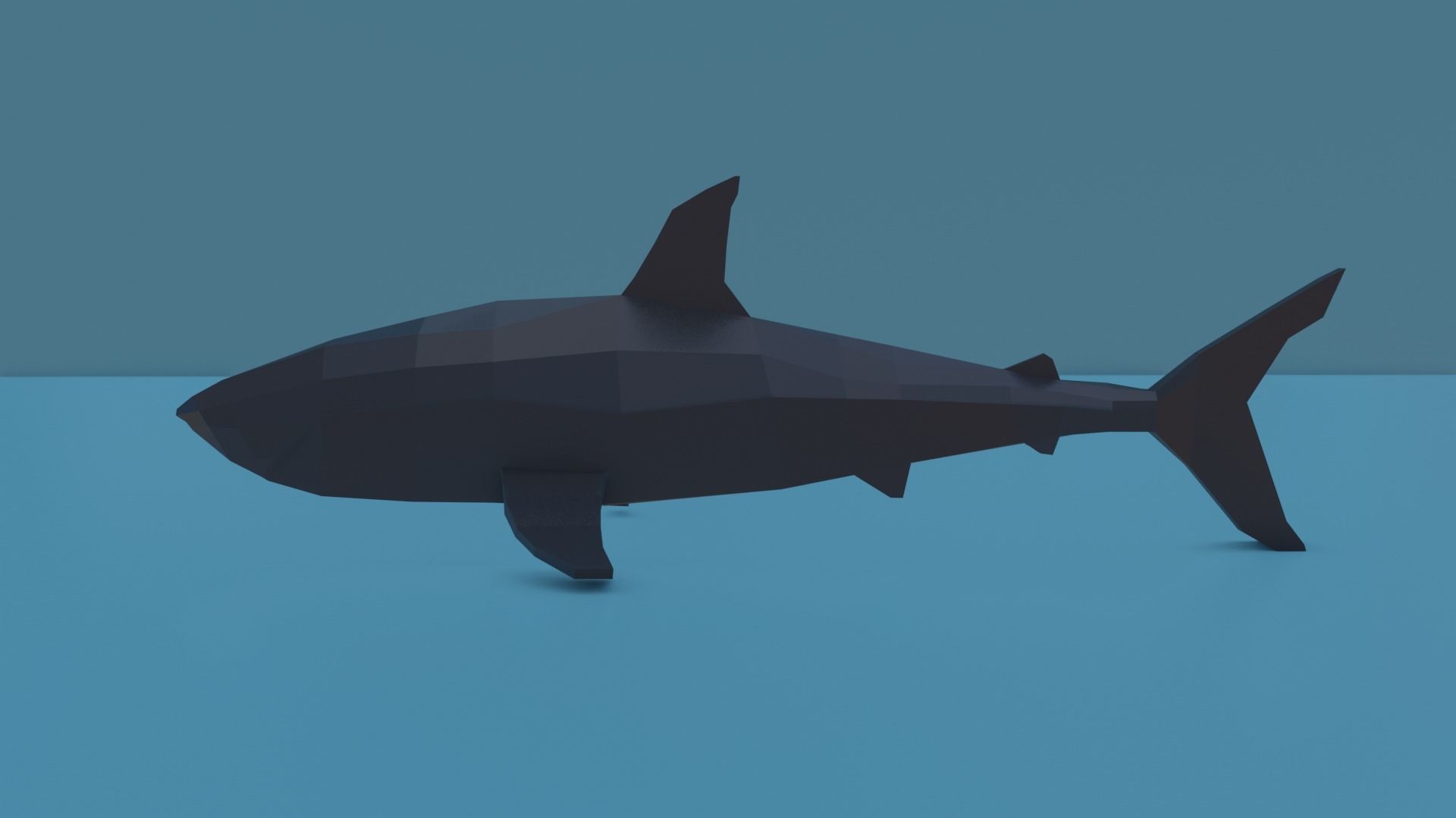 Bull shark Free low-poly 3D model_1