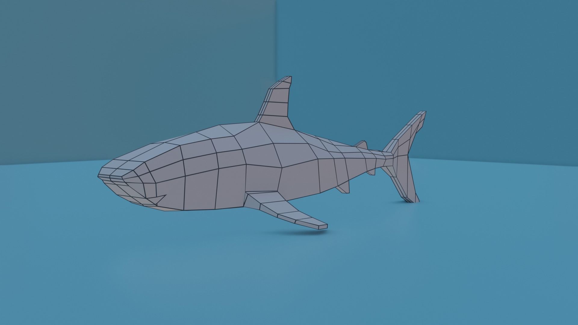 Bull shark Free low-poly 3D model_3