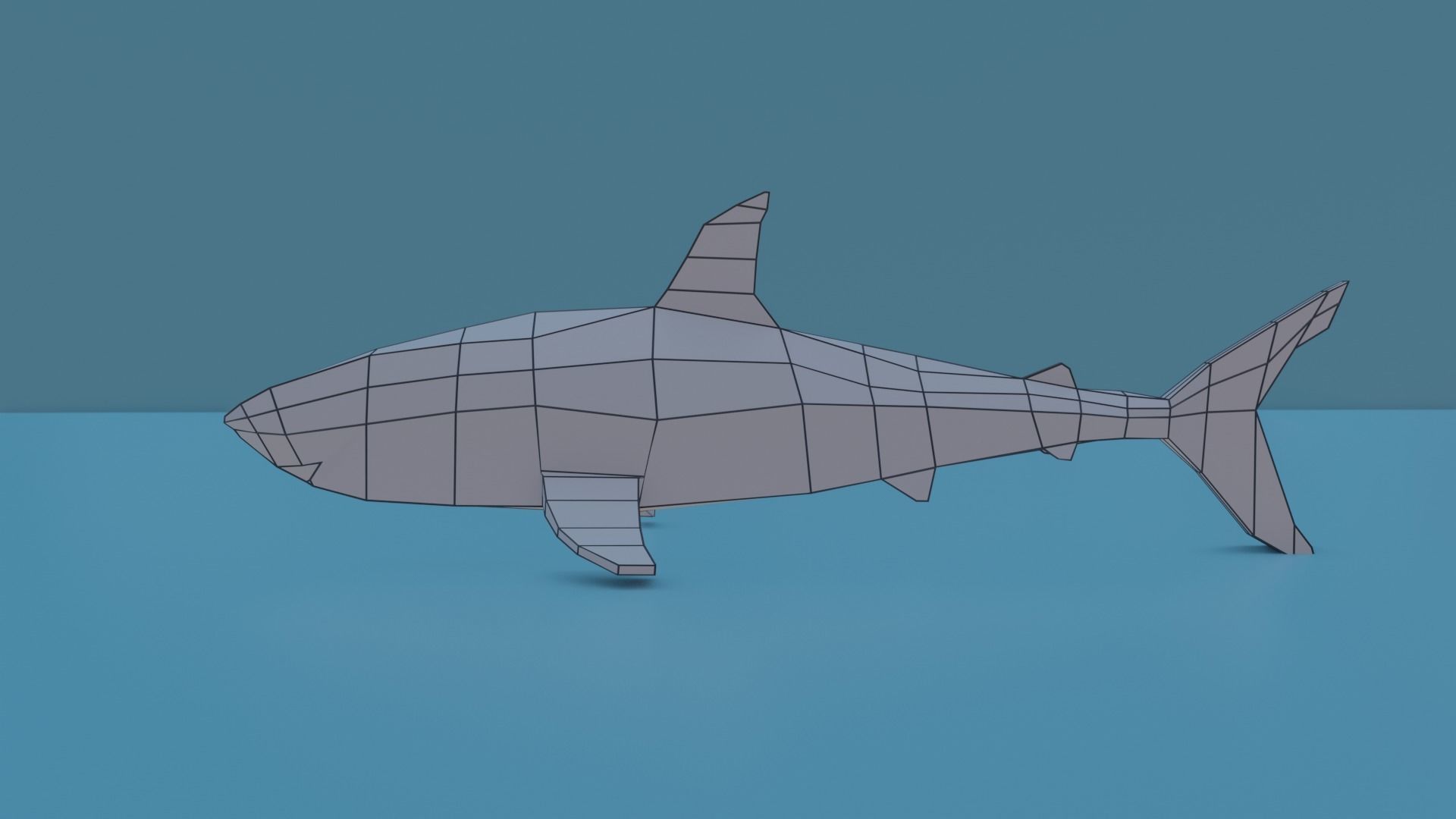 Bull shark Free low-poly 3D model_4