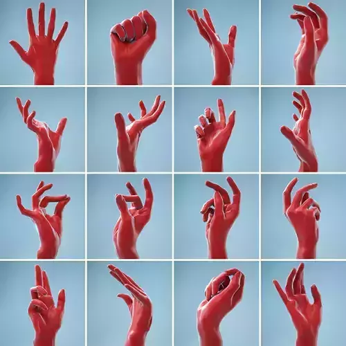 13 Female Hands Posed 3D Model Collection