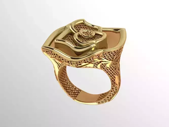 Ultra vision Ring  02 3D print model