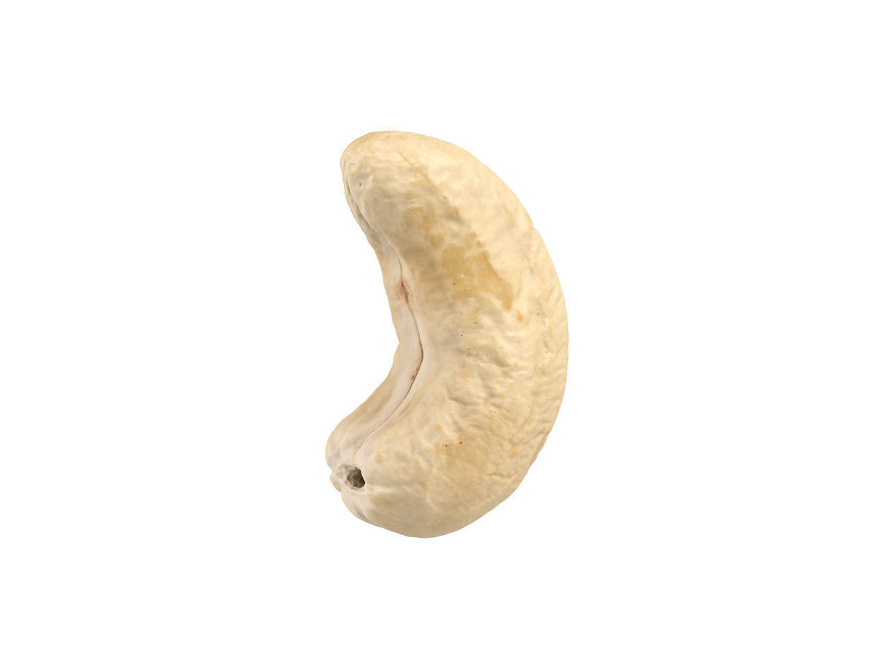 Photorealistic Cashew Nut 3D Scan 3D model_1